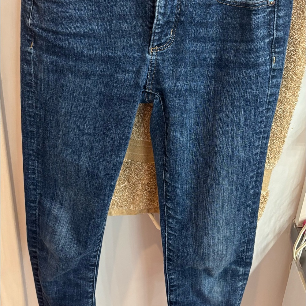 LOFT Dark Blue Skinny Jeans